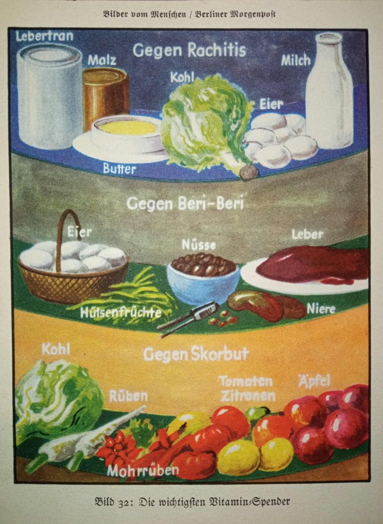 Le fonti vitaminiche più importanti