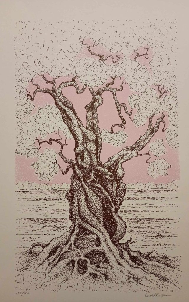 Albero